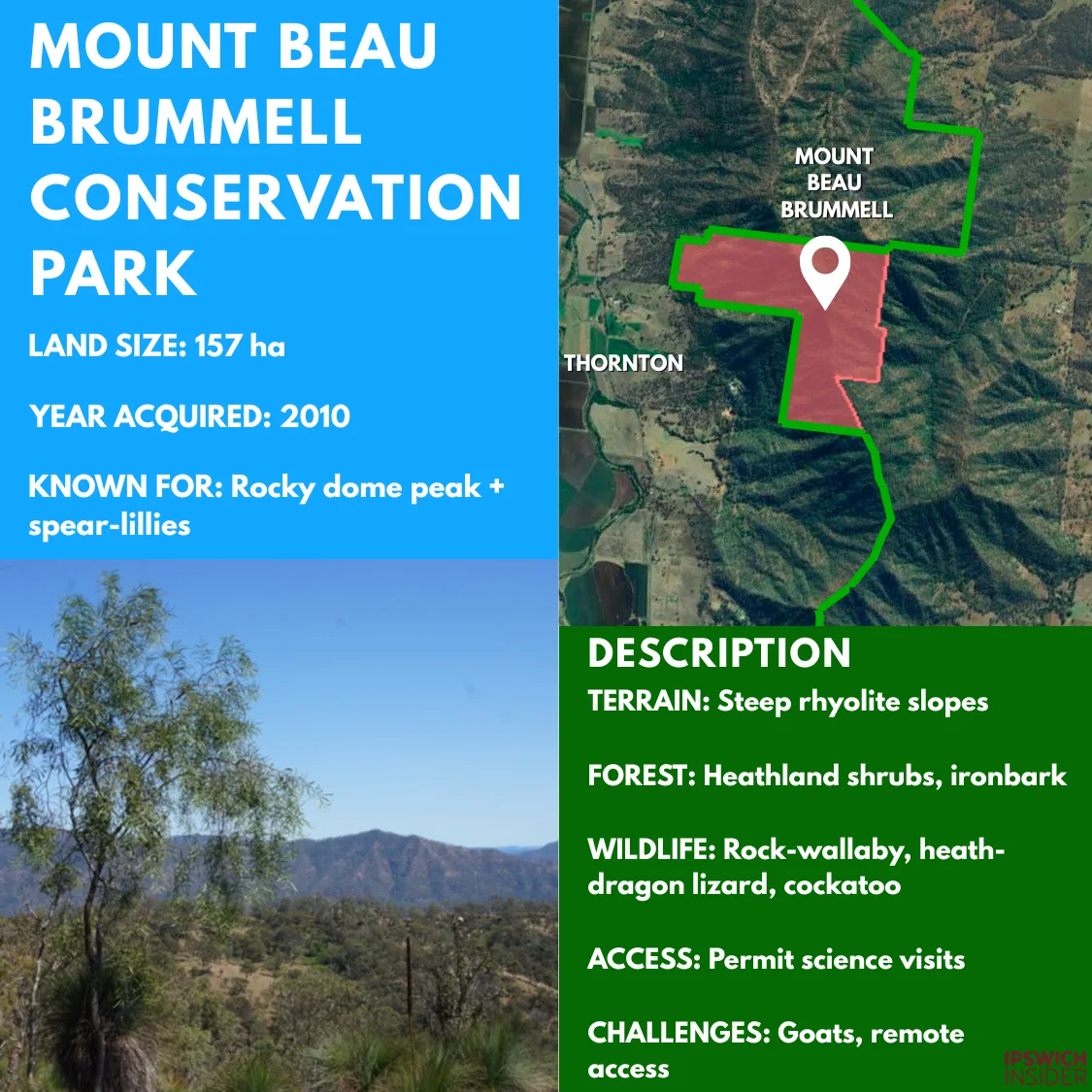MOUNT BEAU BRUMMELL