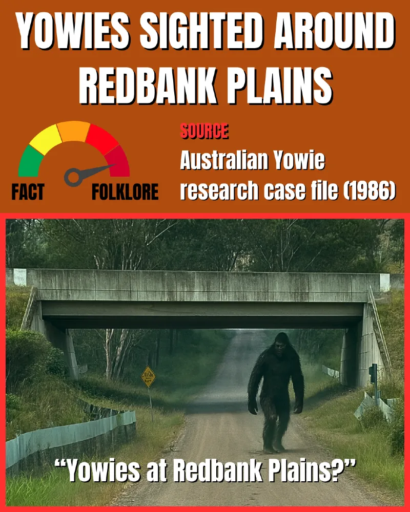 Yowies in Redbank Plains