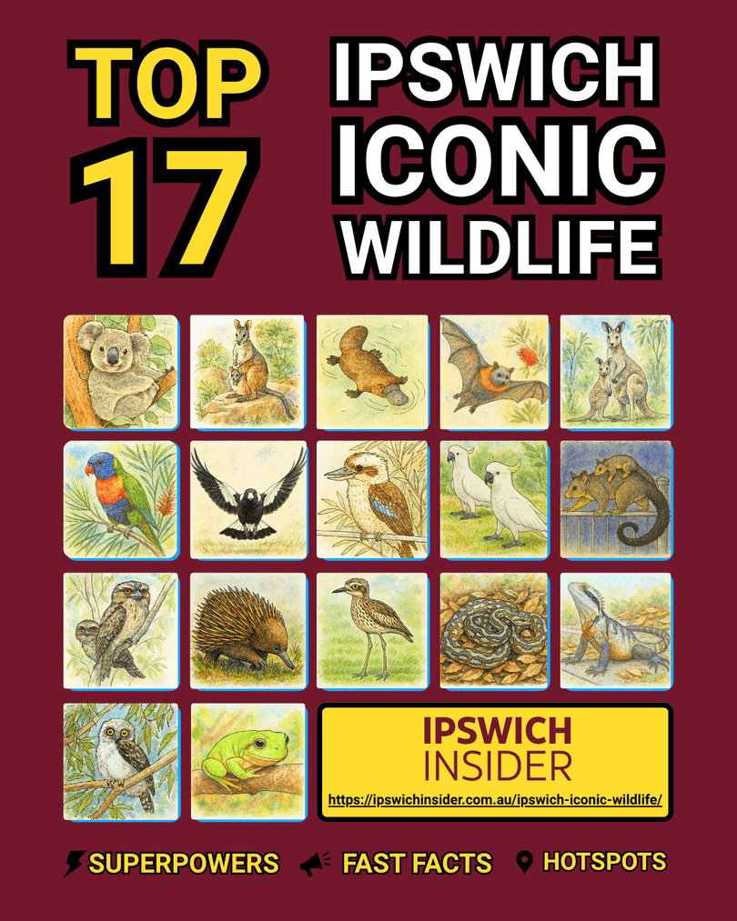 Iconic Ipswich Wildlife Front Cover