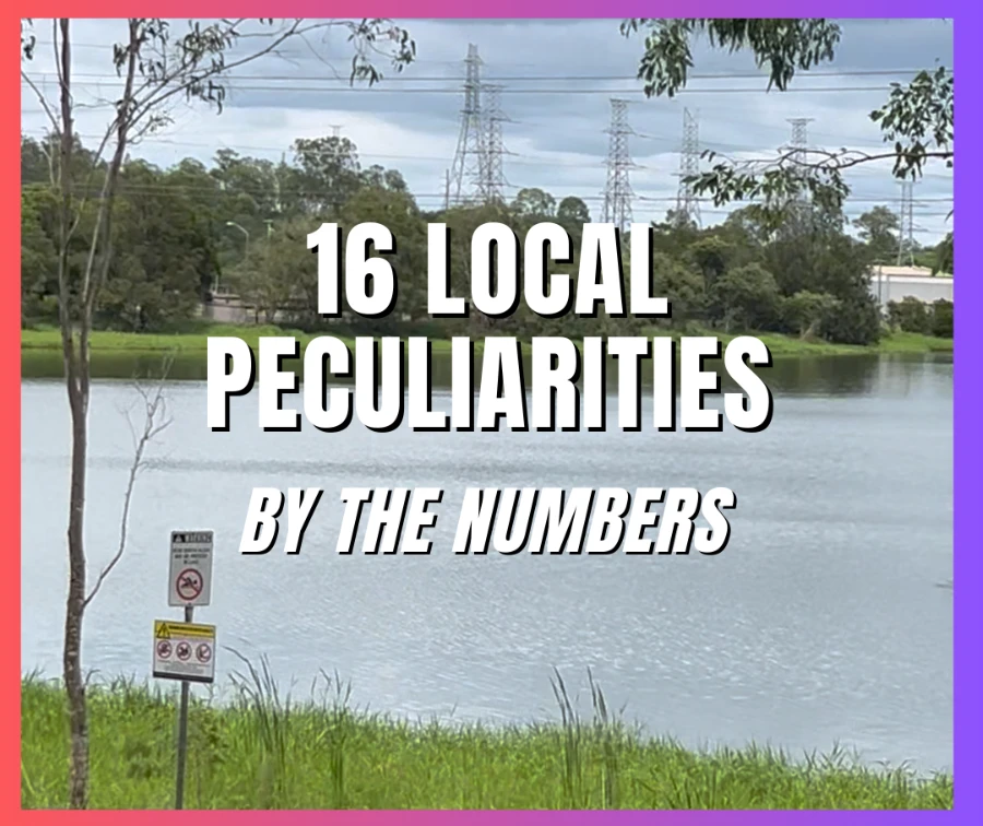 16 Local Peculiarities By the numbers card(1)