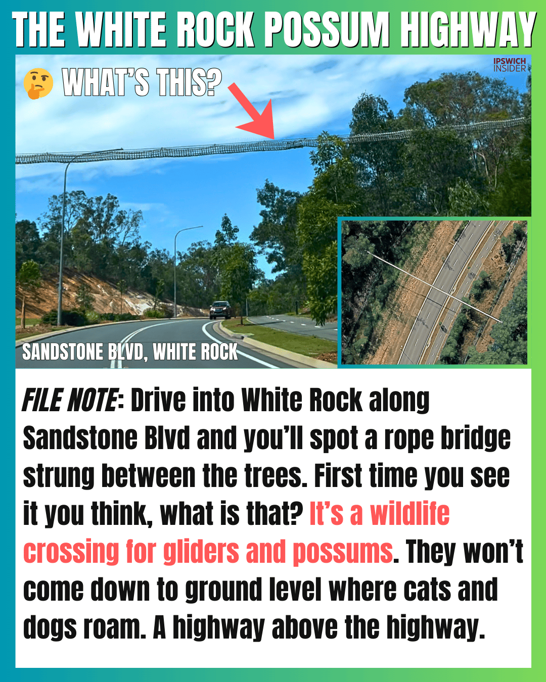 The White Rock Possum Highway — rope wildlife crossings over Sandstone Boulevard