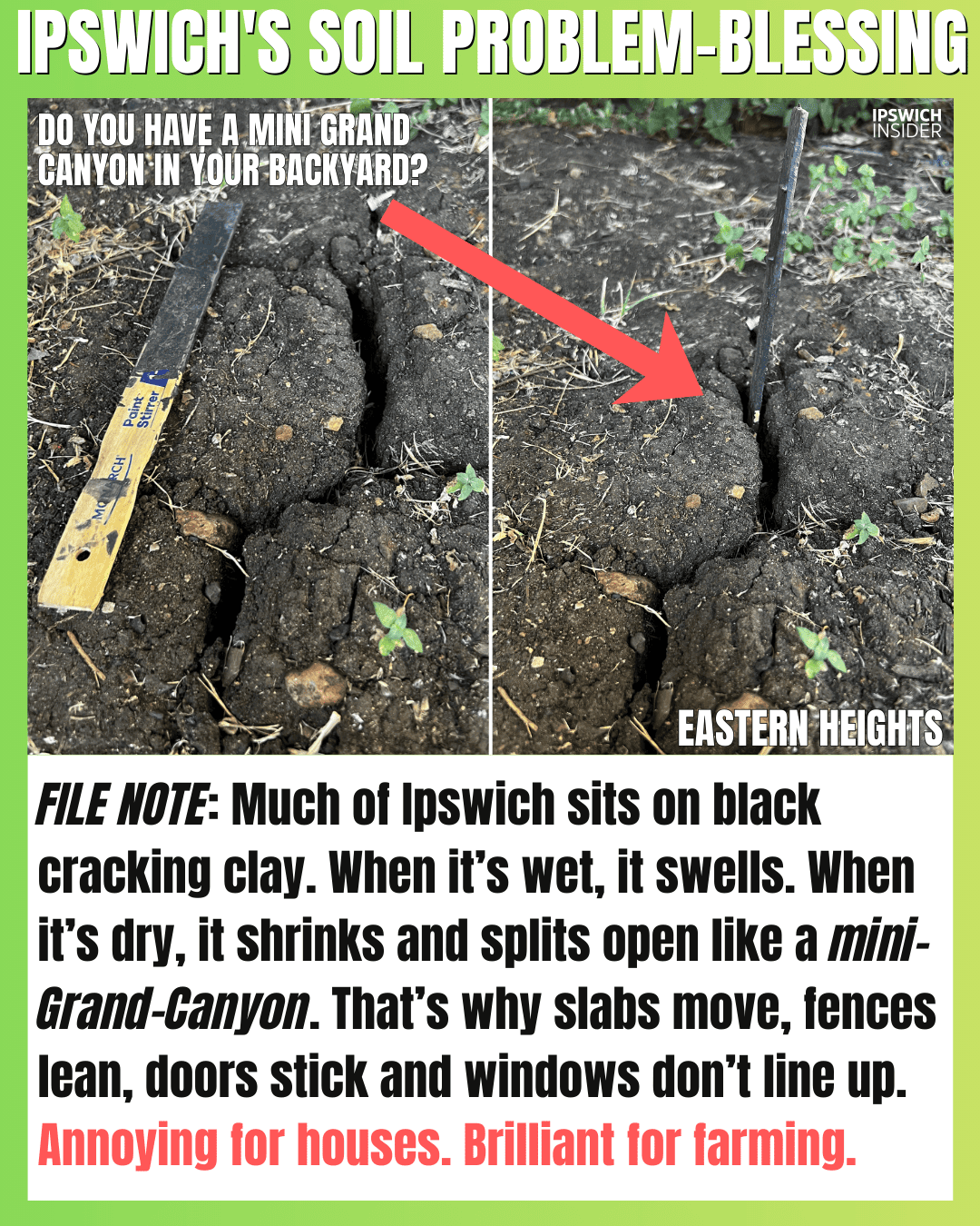 Ipswich’s Soil Problem–Blessing — black cracking clay (Vertosol) example