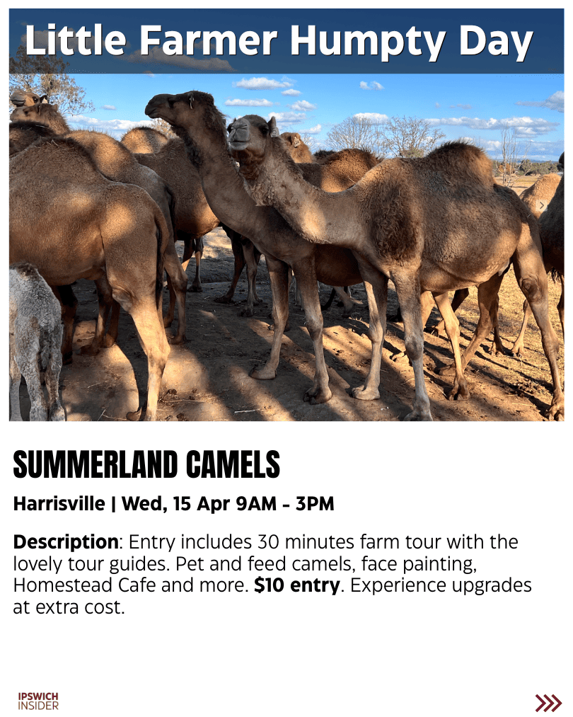 Little Farmer Humpty Day at Summer Land Camels Harrisville on Wednesday 15 April with farm tours, camel feeding and face painting