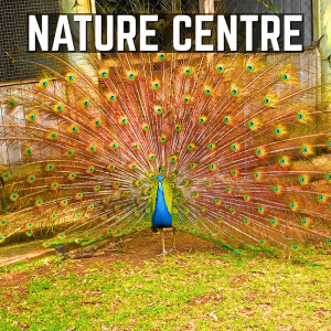 Ipswich Nature Centre