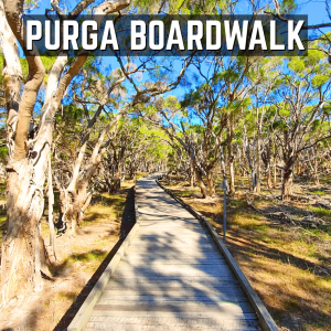 Purga Boardwalk