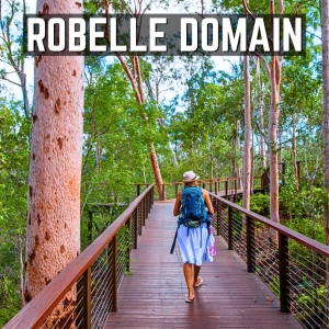 Robelle Domain