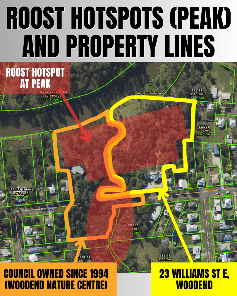 Property boundary overlay showing the Woodend flying-fox roost hotspot at its peak, covering the Holman sisters' 23 Williams Street East property and council-owned land that became Woodend Nature Centre