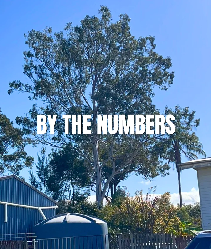 By the numbers Brassall VPO tree