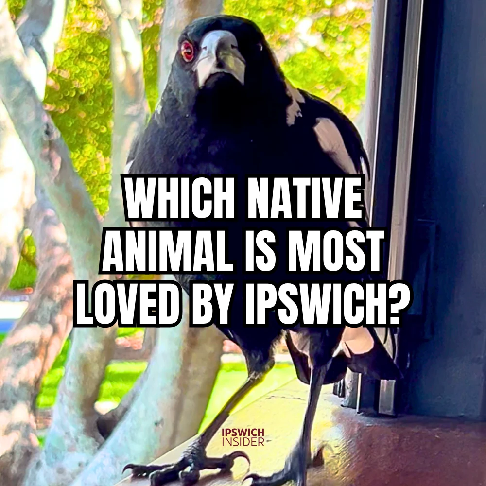 Favourite Native Animal